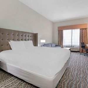 King Room Roll Shower Disability Access Non Smoking